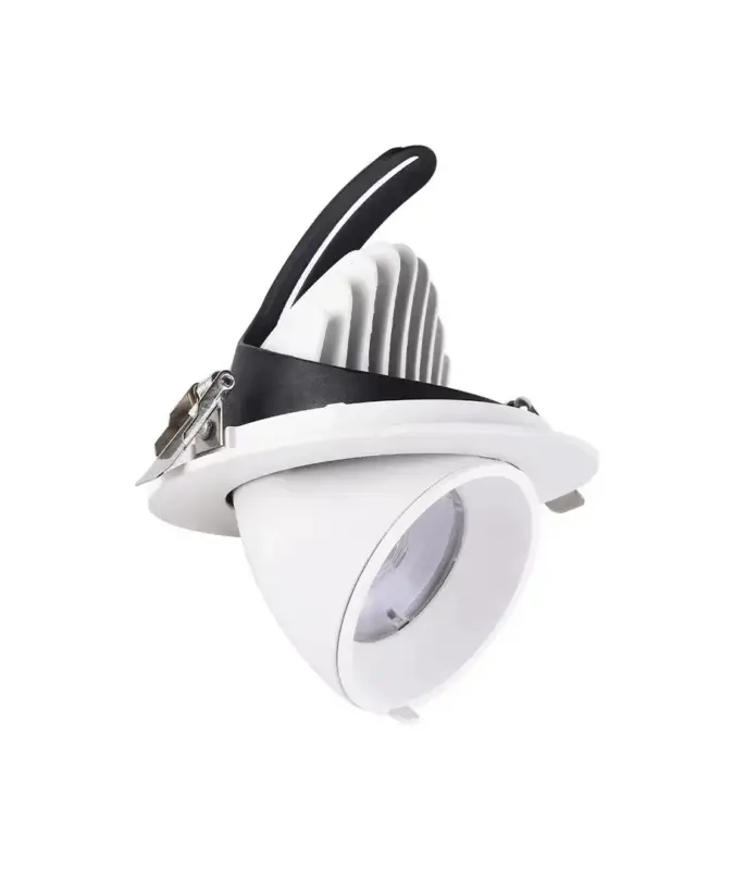 30W Ø16,5cm Downlight Hål: Ø15 cm, Mått: Ø16,5 cm, 4100lm, Justerbar vinkel Rabatt