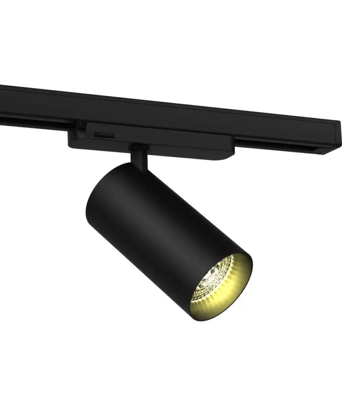 Endast idag 30W 3-fas RA90 skenspotlight 100 lm/W, 36 grader, Svart, Philips LED