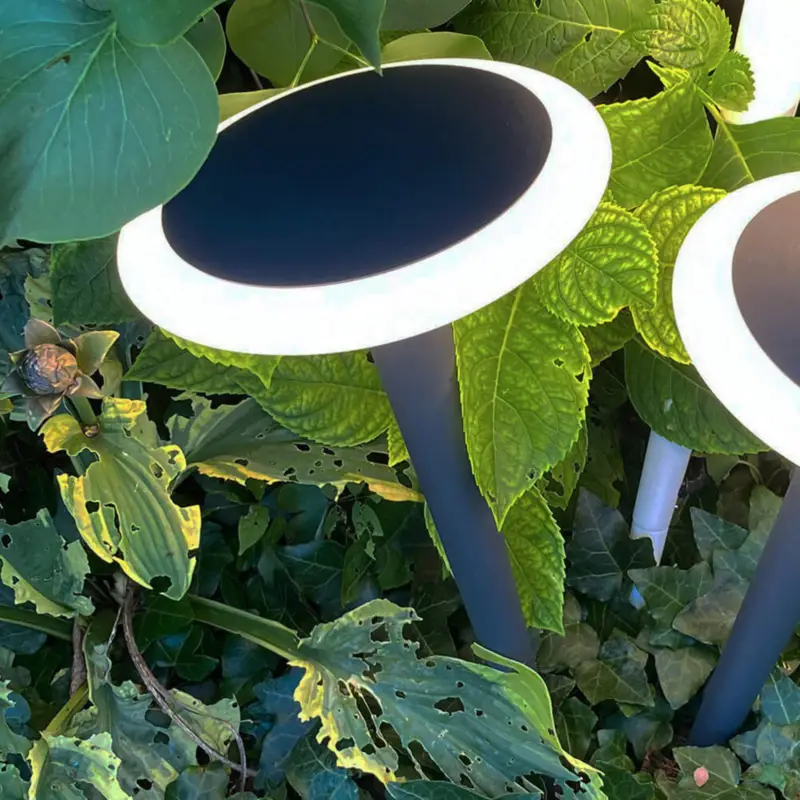 LED-sockellampa Bermuda med markspett svartgrå Kundfavorit