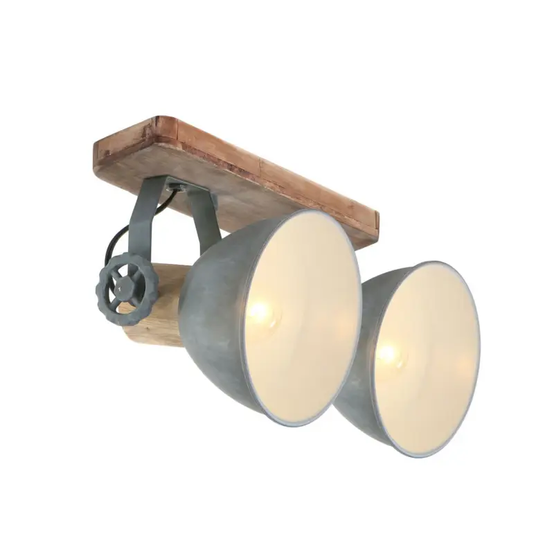 Begränsad tid Takspotlight Gearwood, 2 lampor, grå