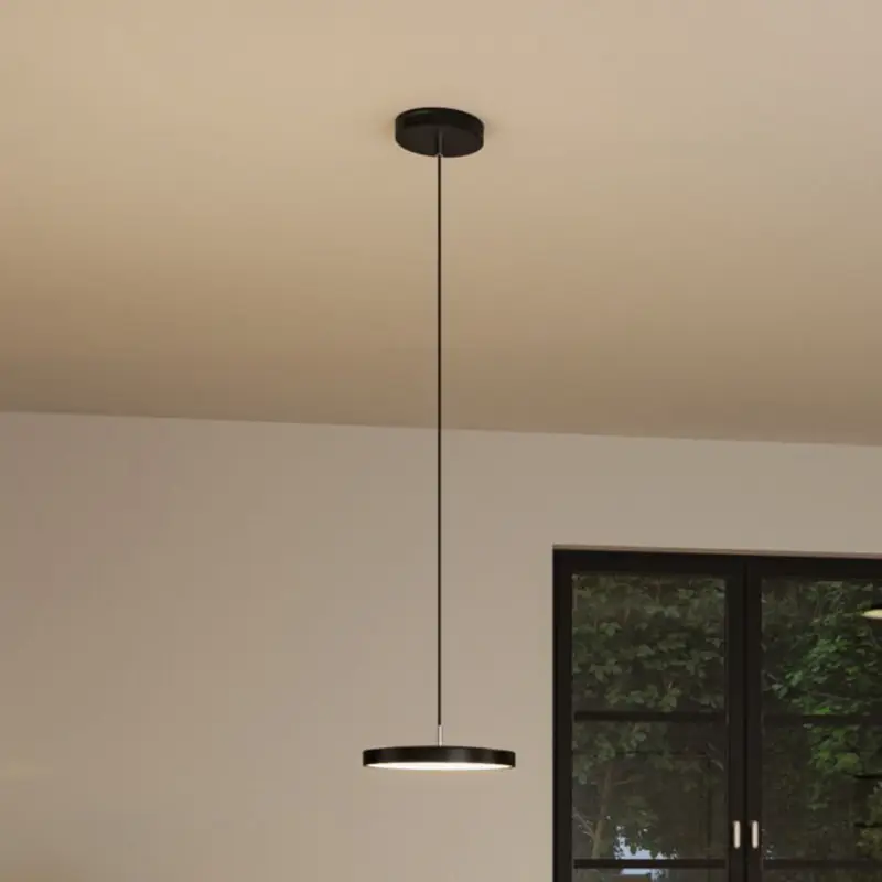 Paulmann Hildor LED-pendellampa, Zigbee, svart Utförsäljning