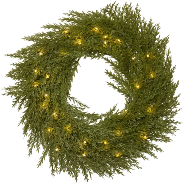 Kundfavorit Thuja Ø45