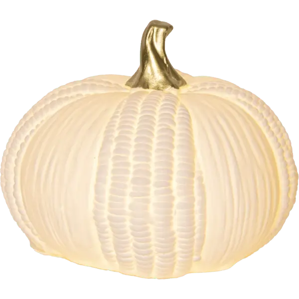 Erbjudande Pumpkin 12cm